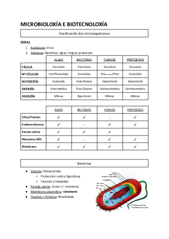 Microbioloxia-e-biotecnoloxia.pdf