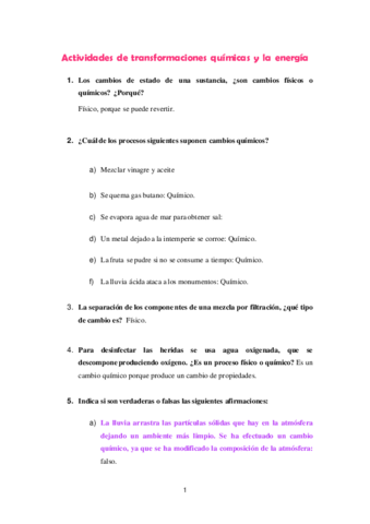 Tema-6-ACTIVIDADES-TRANSFORMACIONES-QUIMICAS.pdf