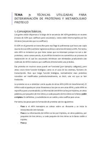 TEMA-7.pdf