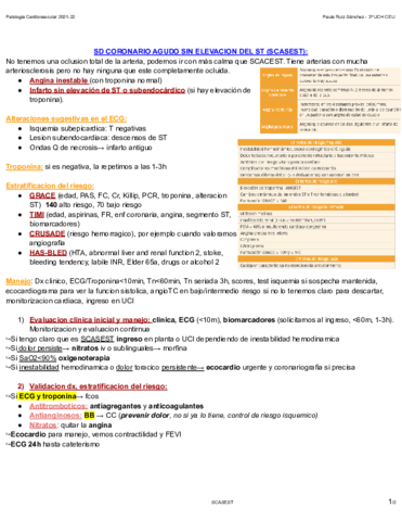 SD-CORONARIO-AGUDO-SIN-ELEVACION-DEL-ST-SCASEST.pdf