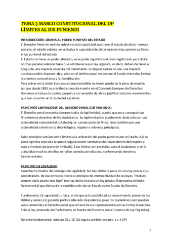 TEMA-3-LIMITES-AL-IUS-PUNIENDI-.pdf