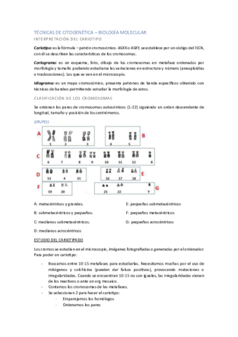 TECNICAS-DE-CITOGENETICA-Apt.pdf