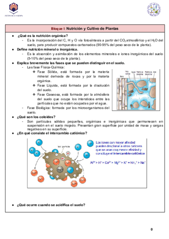 Apuntes | Examen.pdf