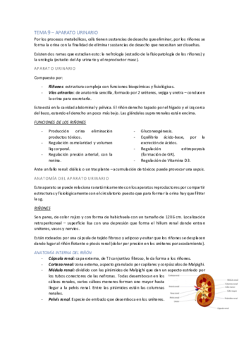 Sistema-Urinario-Apt.pdf