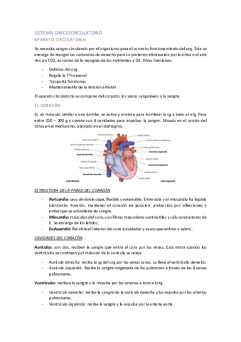 Ap-Circulatorio-Apt.pdf