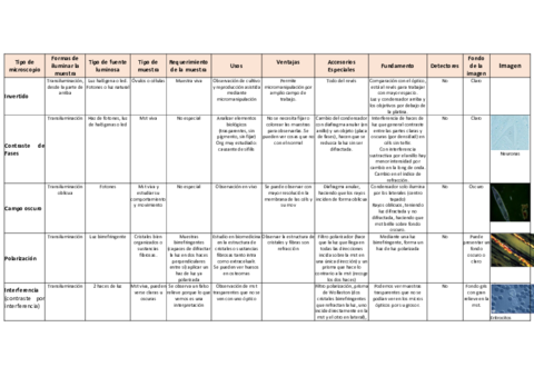 EsquemaTiposdemicroscopiopararellenar-Recuperado-automaticamente.pdf
