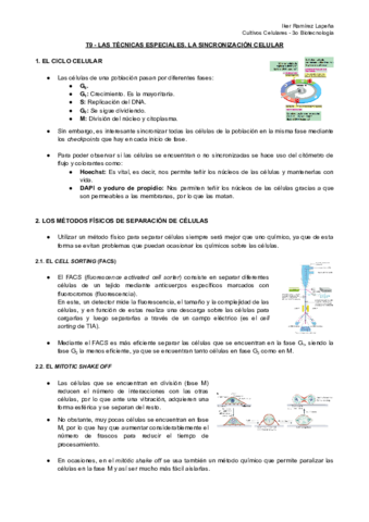 T9-CC-Las-Tecnicas-Especiales.pdf