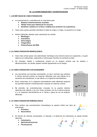 T8-CC-La-Caracterizacion-y-Autentificacion.pdf