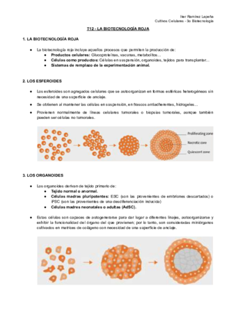 T12-CC-La-Biotecnologia-Roja.pdf