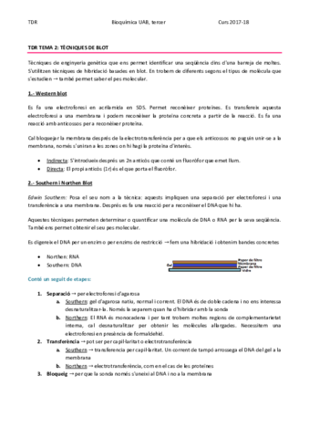 TDR TEMA 2 - TÈCNIQUES DE BLOT.pdf