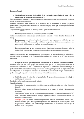 Preguntas-por-temas-EXAMEN.pdf