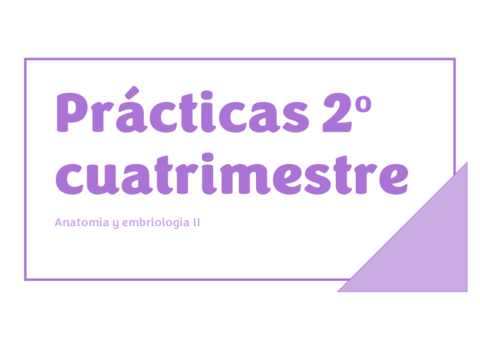 Practicas-2o-cuatrimestre.pdf