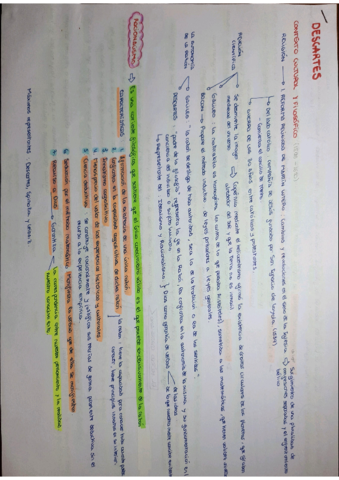 Teoria-Descartes.pdf