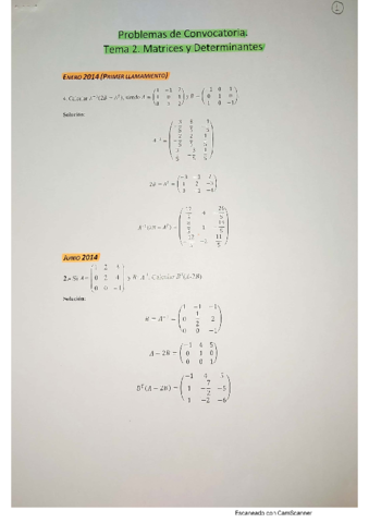 PROBLEMAS-CONVOCATORIA-PARTE-2.pdf