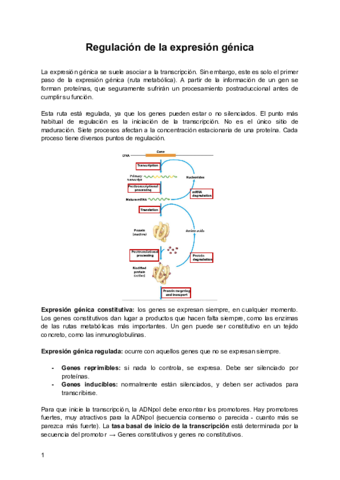 Tema-10-Regulacion-de-la-expresion-genica.pdf