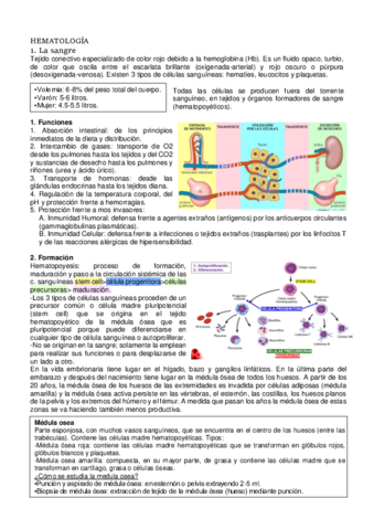 HEMATOLOGIA.pdf