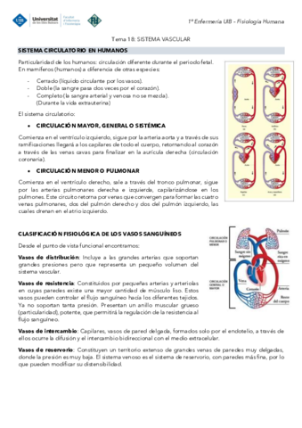 Tema-18-Fisiologia-Sistema-vascular.pdf