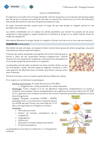 Tema-16-Fisiologia-Hemostasia.pdf