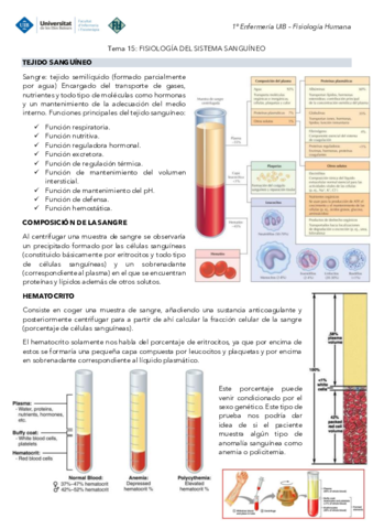 Tema-15-Fisiologia-Sistema-sanguineo.pdf