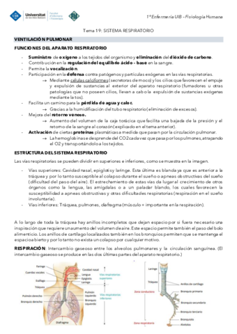 Tema-19-Fisiologia-Ventilacion-pulmonar.pdf
