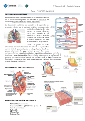 Tema-17-Fisiologia-Sistema-cardiaco.pdf