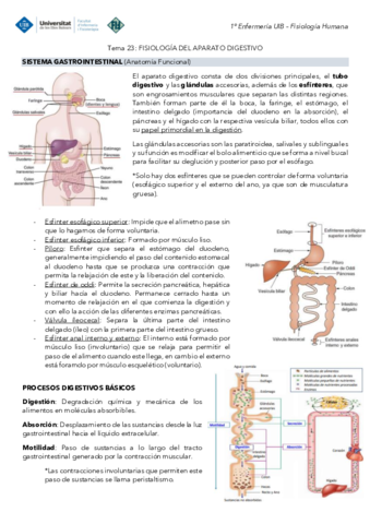 Tema-23-Fisiologia-Digestivo.pdf