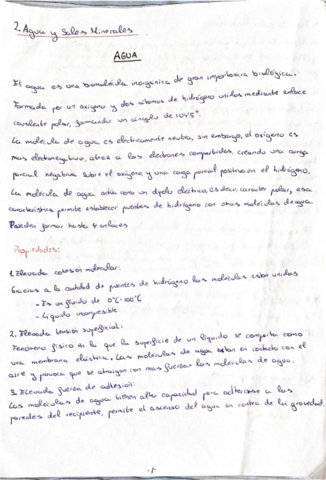 TEMA-2-AGUA-Y-SALES-.pdf