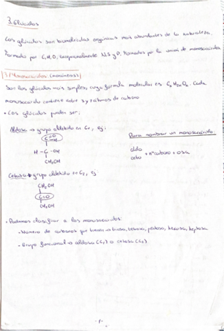TEMA-3-GLUCIDOS-.pdf