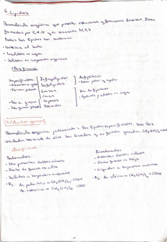 TEMA-4-LIPIDOS.pdf