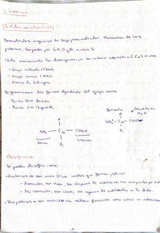 TEMA-6-PROTEINAS-.pdf