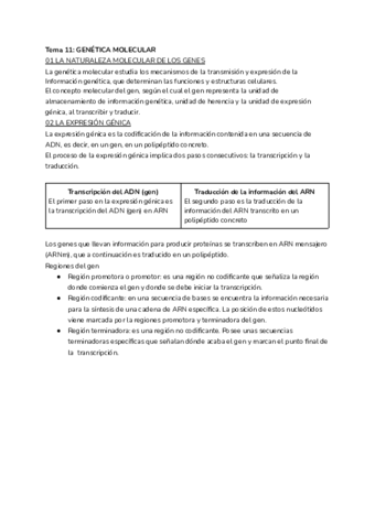 Tema-11-GENETICA-MOLECULAR.pdf