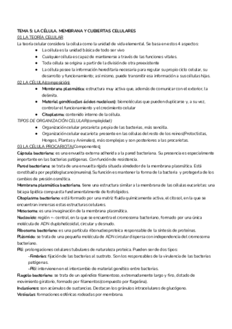 t5.pdf
