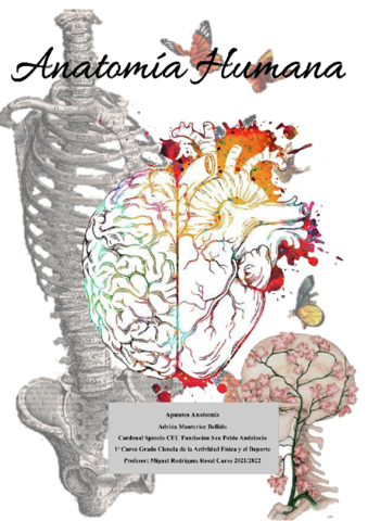 T1.PI. Introducción a la Anatomía.pdf