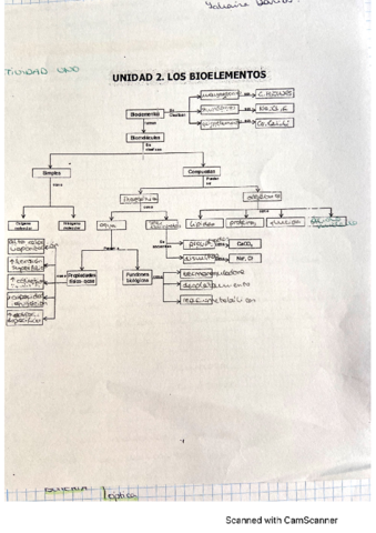 Biomoleculas-organicas.pdf