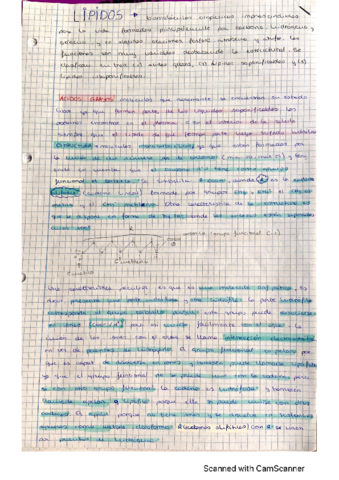 Lipidos.pdf