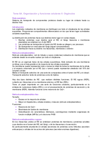 Metabolismo-y-expresion-genica-2.pdf