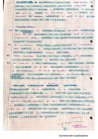 Hormonas.pdf