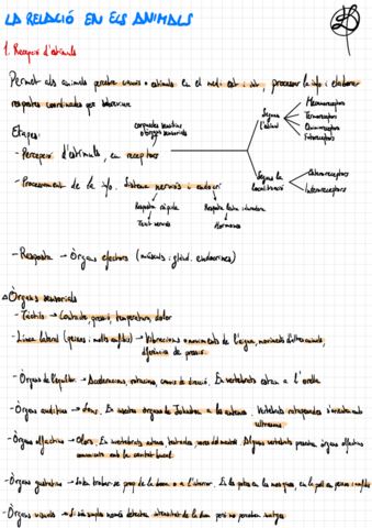 T.10 La Relació en els Animals.pdf