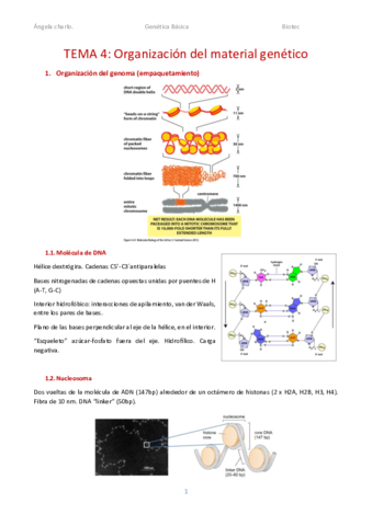 TEMA-4.pdf