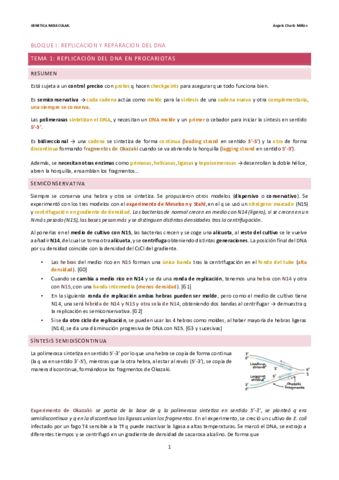 BLOQUE-I-completo.pdf