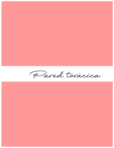 pared-toracica.pdf