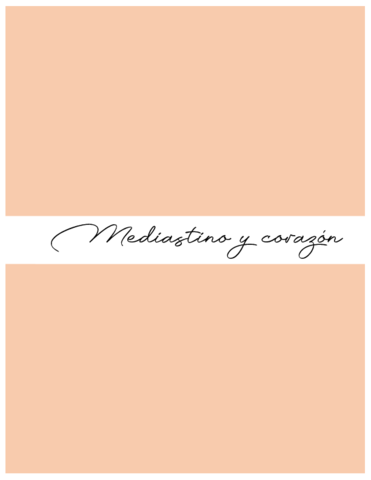 Corzaon-y-mediastino.pdf