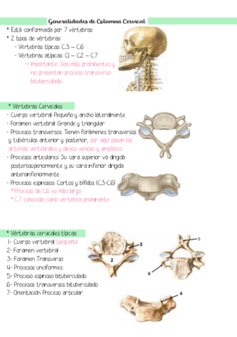 osteoartrologia-de-columna.pdf