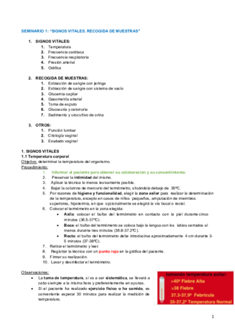 Seminarios TODOS-.pdf