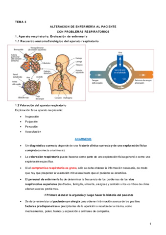 Tema 3. Respiratorio