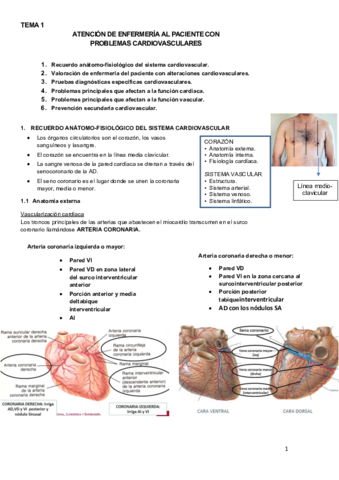 Tema 1. Cardiología