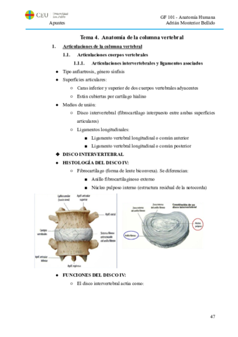 T4. Anatomía de la columna vertebral