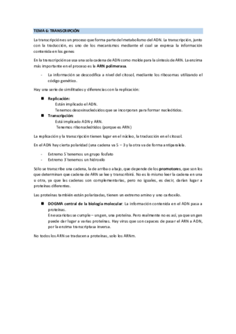 TEMA-6-TRANSCRIPCION.pdf