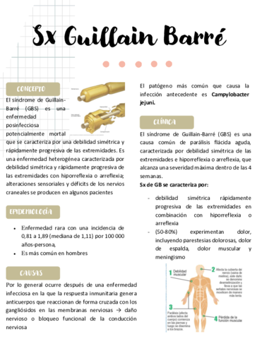 SINDROME-DE-GUILLAN-BARRE-APUNTEe-2.pdf