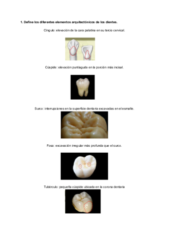 Rodriguez-Delgado-MiguelIB01TAREA.pdf